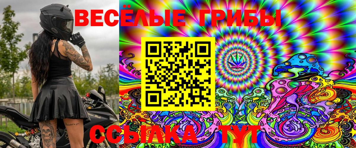 Псилоцибиновые грибы MAGIC MUSHROOMS  Вход с VPN  Морозовск 
