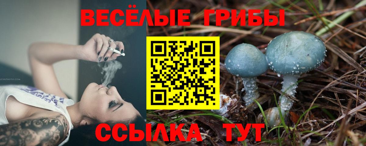 Галлюциногенные грибы прущие грибы Морозовск